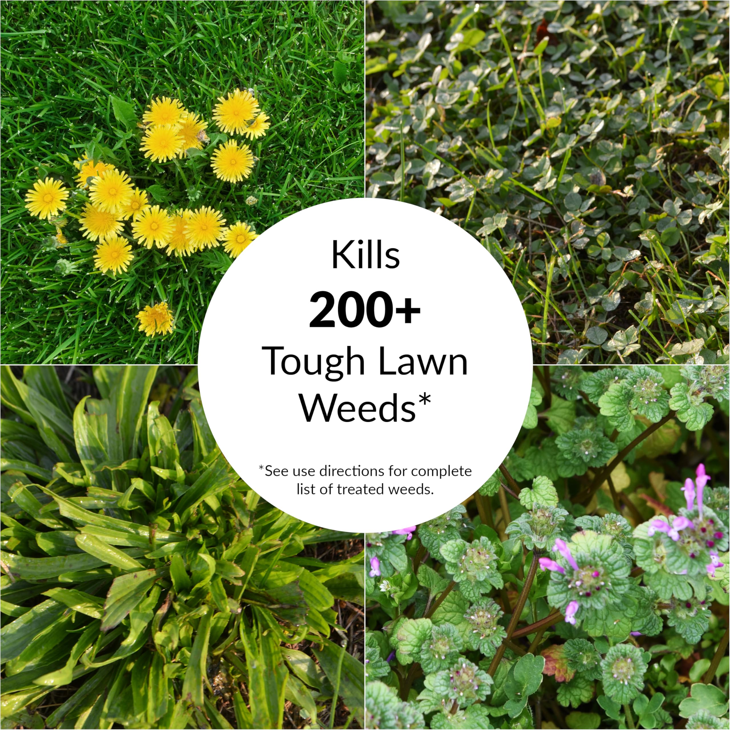 18 lb GreenView bag covers up to 5,000 sq ft for large lawns