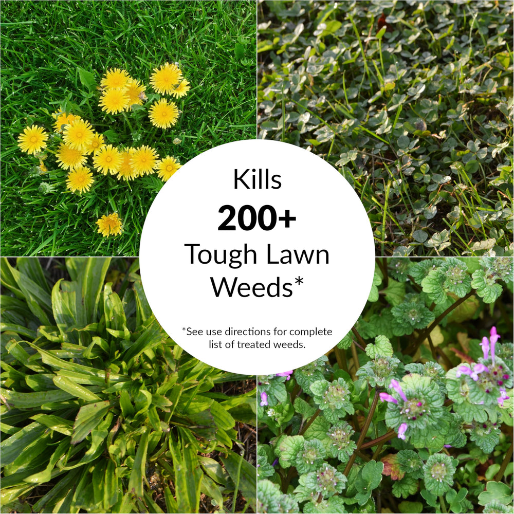 18 lb GreenView bag covers up to 5,000 sq ft for large lawns