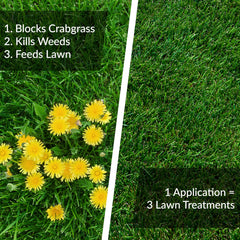 GreenView Fairway Formula provides lawn nourishment with balanced feeding