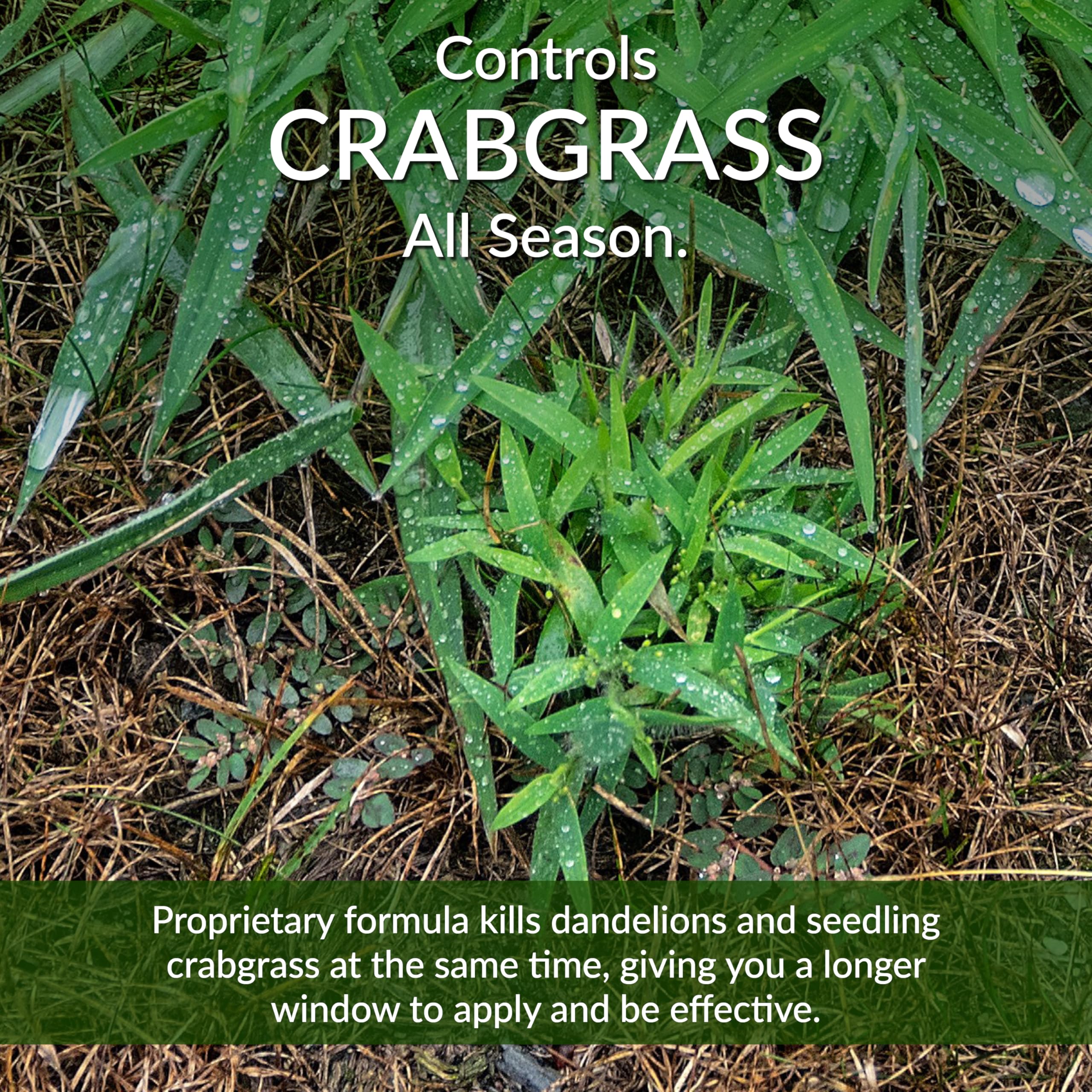 Slow-release nitrogen in GreenView formula supports steady growth over 12 weeks