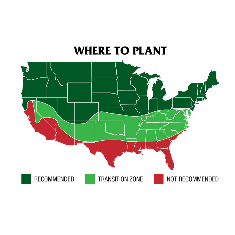 GreenView Pure Grass Seed coverage-area illustration shows 1,500 sq ft overseeding potential.
