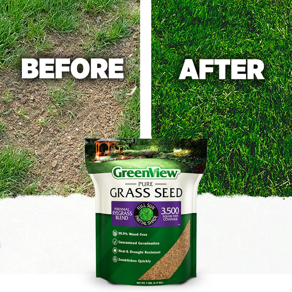GreenView Pure Grass Seed dark green blades close-up conveys vibrant texture.