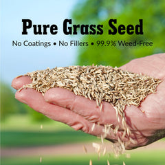 GreenView Pure Grass Seed heat and drought resilience graphic suggests durable lawn in challenging conditions.