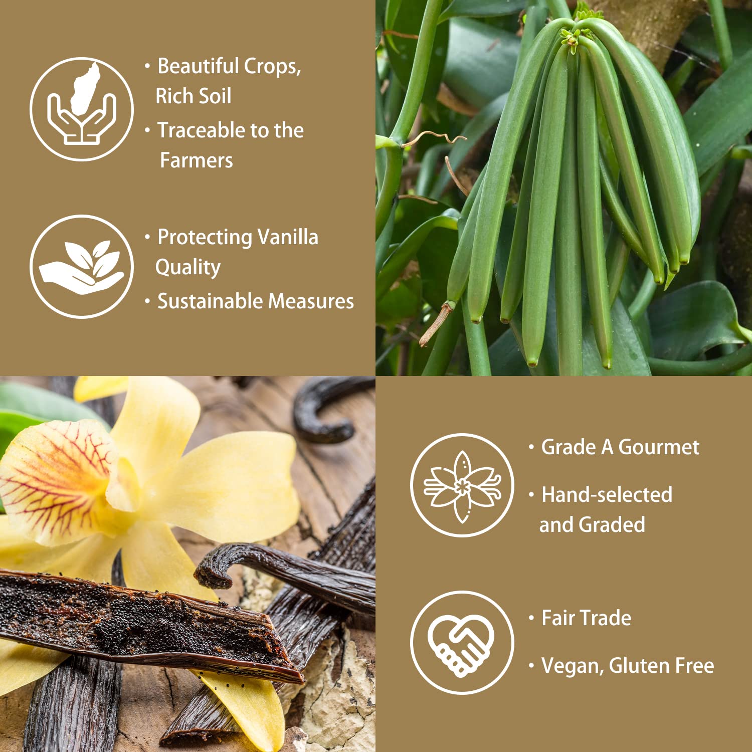 GRELIM vanilla bean powder in a coffee cup, enhancing aroma.