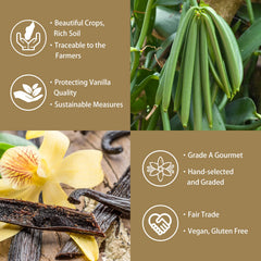 GRELIM vanilla bean powder in a coffee cup, enhancing aroma.