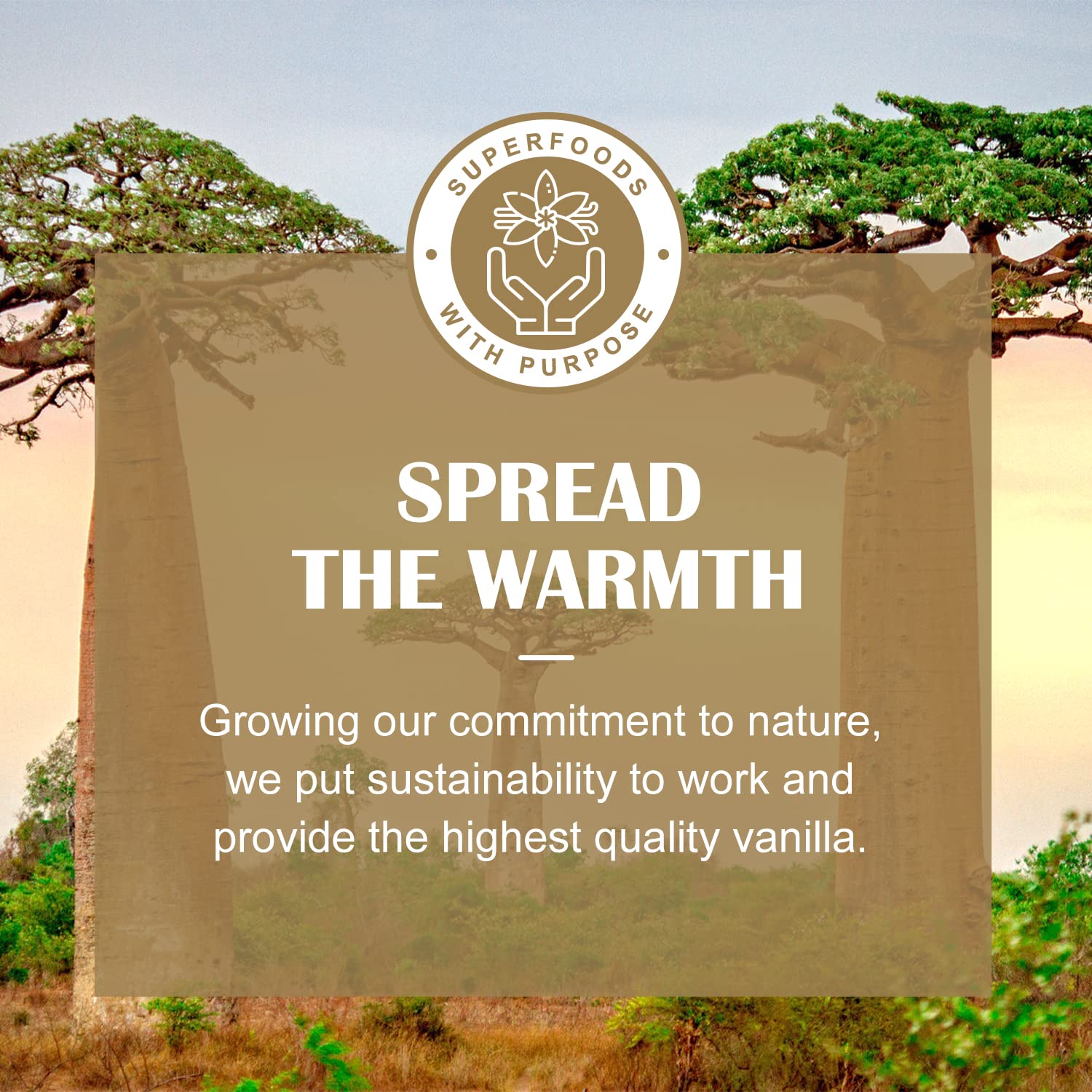 GRELIM vanilla bean powder packaging highlights gluten-free claim.