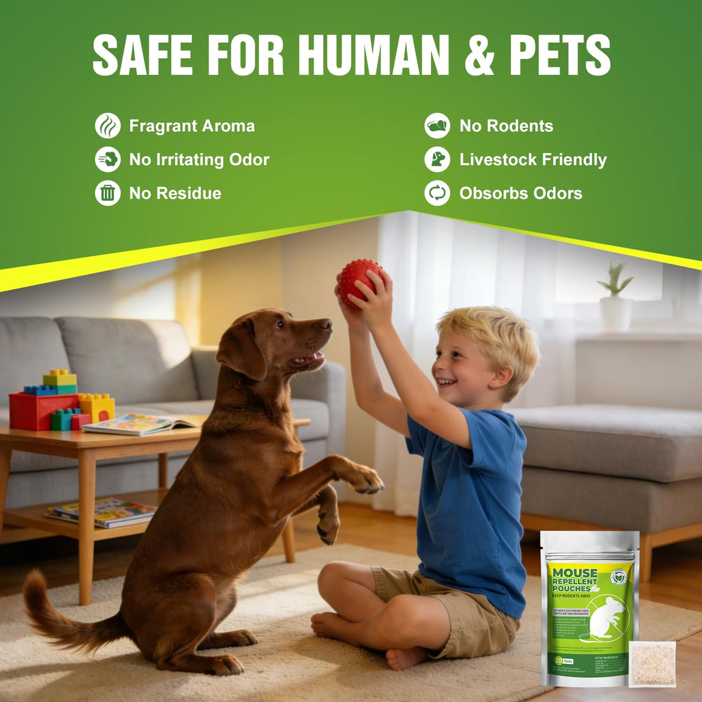 GRLEP Mice Repellent Pouches in basement or attic deter common pests