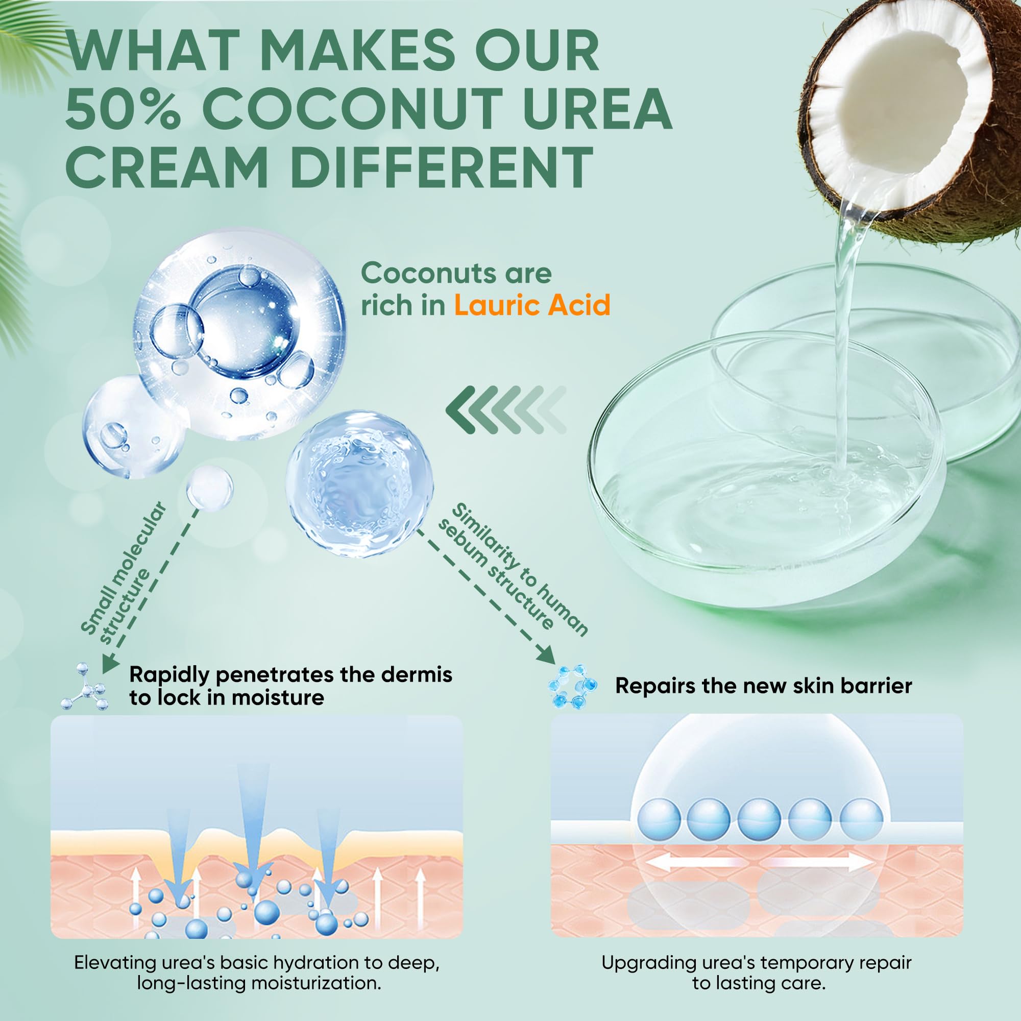 Grocerism Urea Cream coconut extract hydrates and nourishes skin quickly.