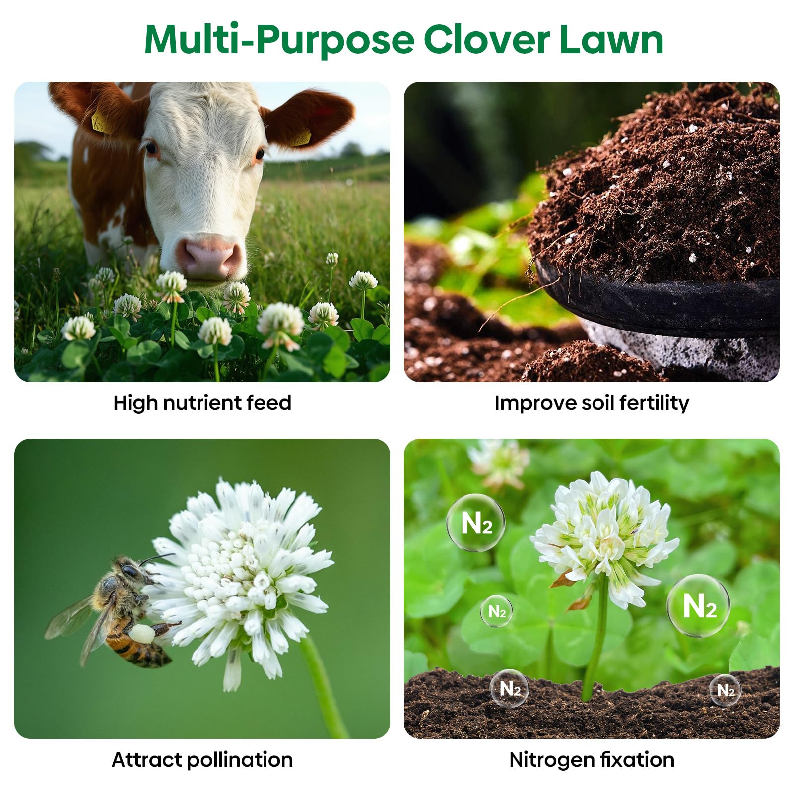Groundio 2 lb bag covers up to 1,000 sq ft for easy planning.