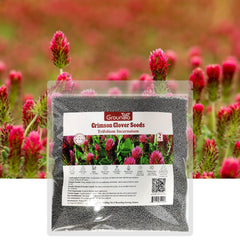Groundio crimson clover seeds packaging showcases Nitrocoated quality for reliable germination.
