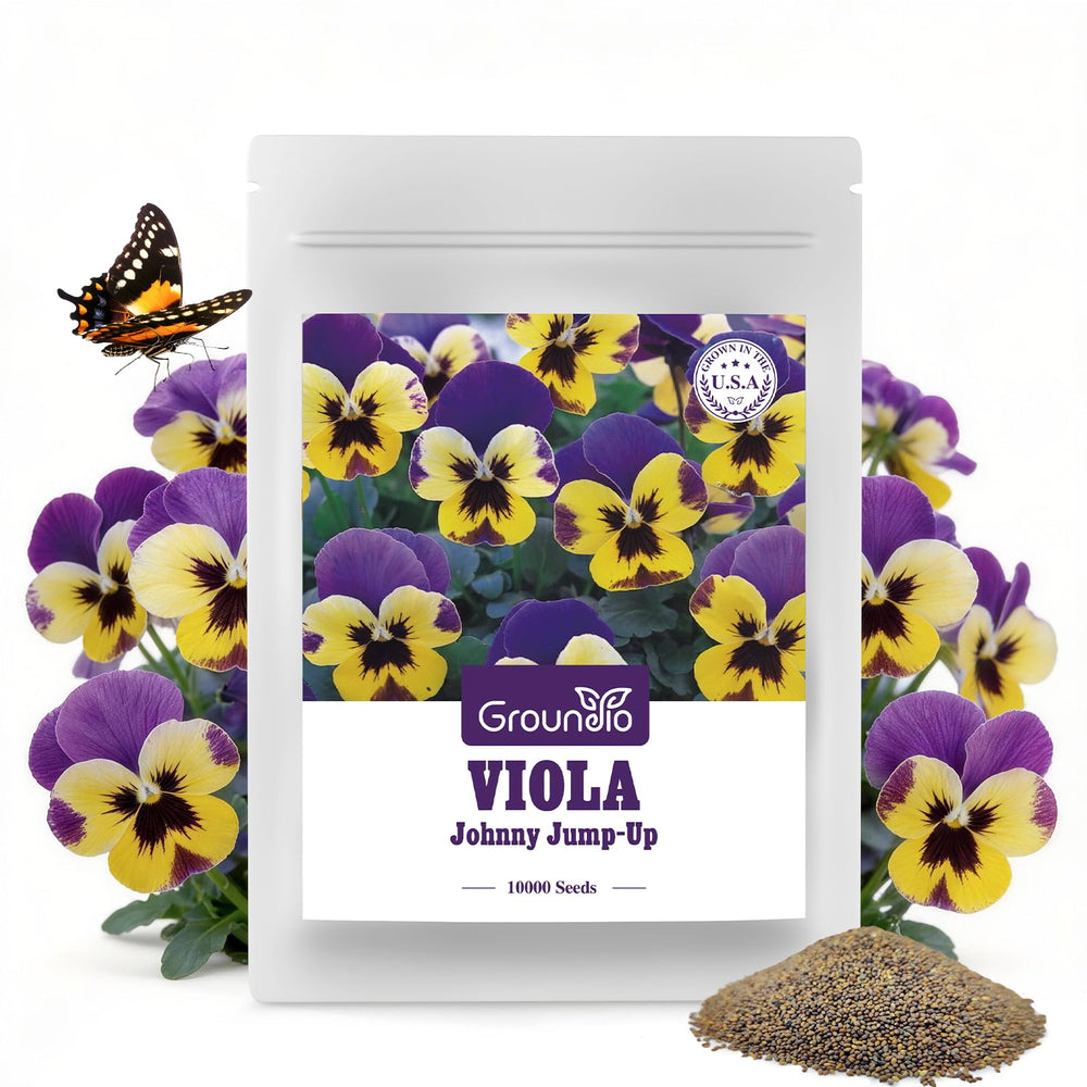 Groundio Johnny Jump Up seed packet for pollinator-friendly planting