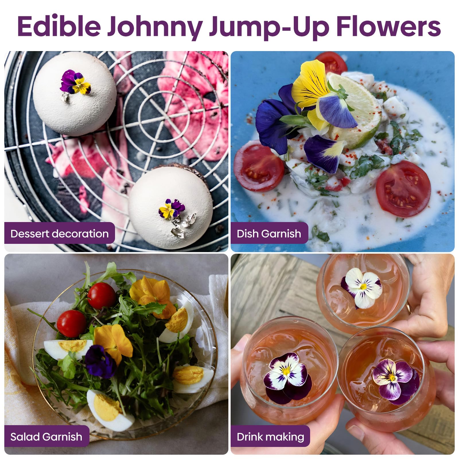 Groundio Johnny Jump Up suited for USDA zones 6-10
