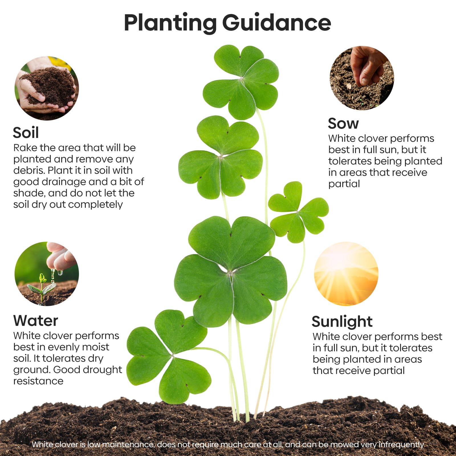 Groundio nitrocoated and inoculated seeds boost germination and establishment.