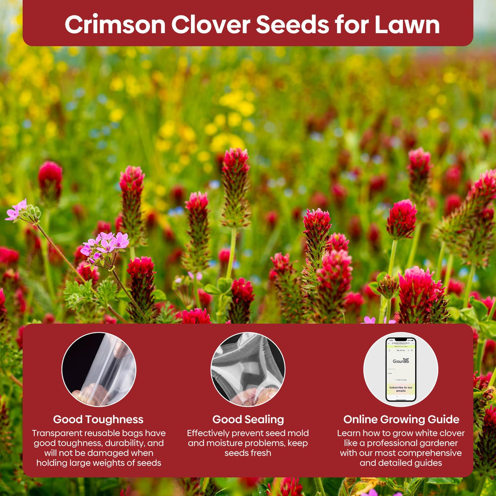 Groundio Nitrocoated and inoculated seeds support robust growth and establishment.