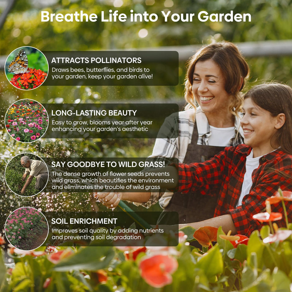 Groundio pollinator garden featuring butterfly-friendly blooms.
