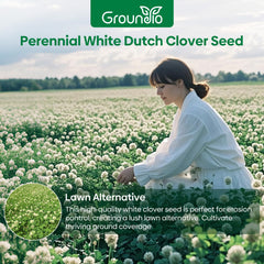 Groundio white Dutch clover seeds germinate within 7–14 days for quick lawn improvement.
