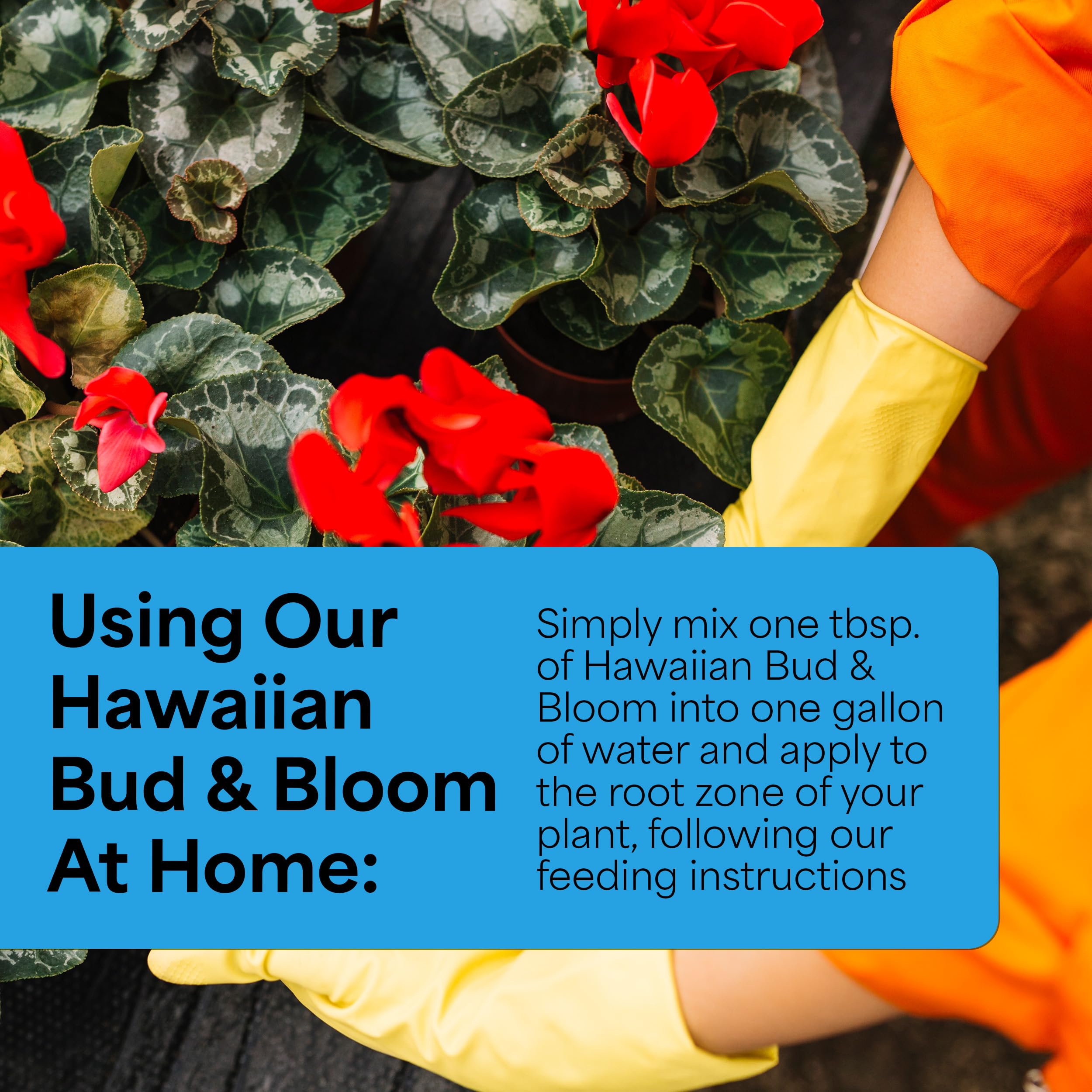 Grow More Hawaiian Bud and Bloom close-up shows lush tropical flowers