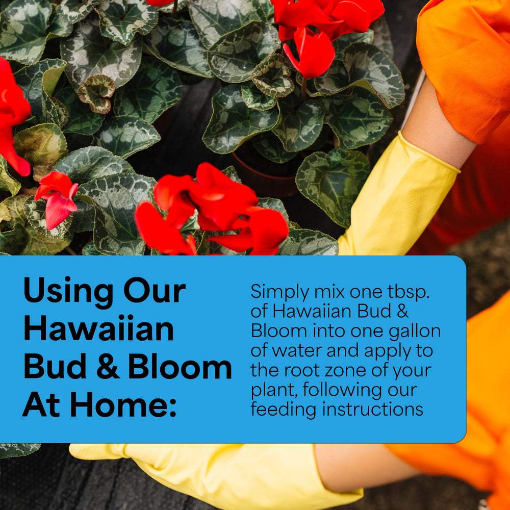 Grow More Hawaiian Bud and Bloom close-up shows lush tropical flowers