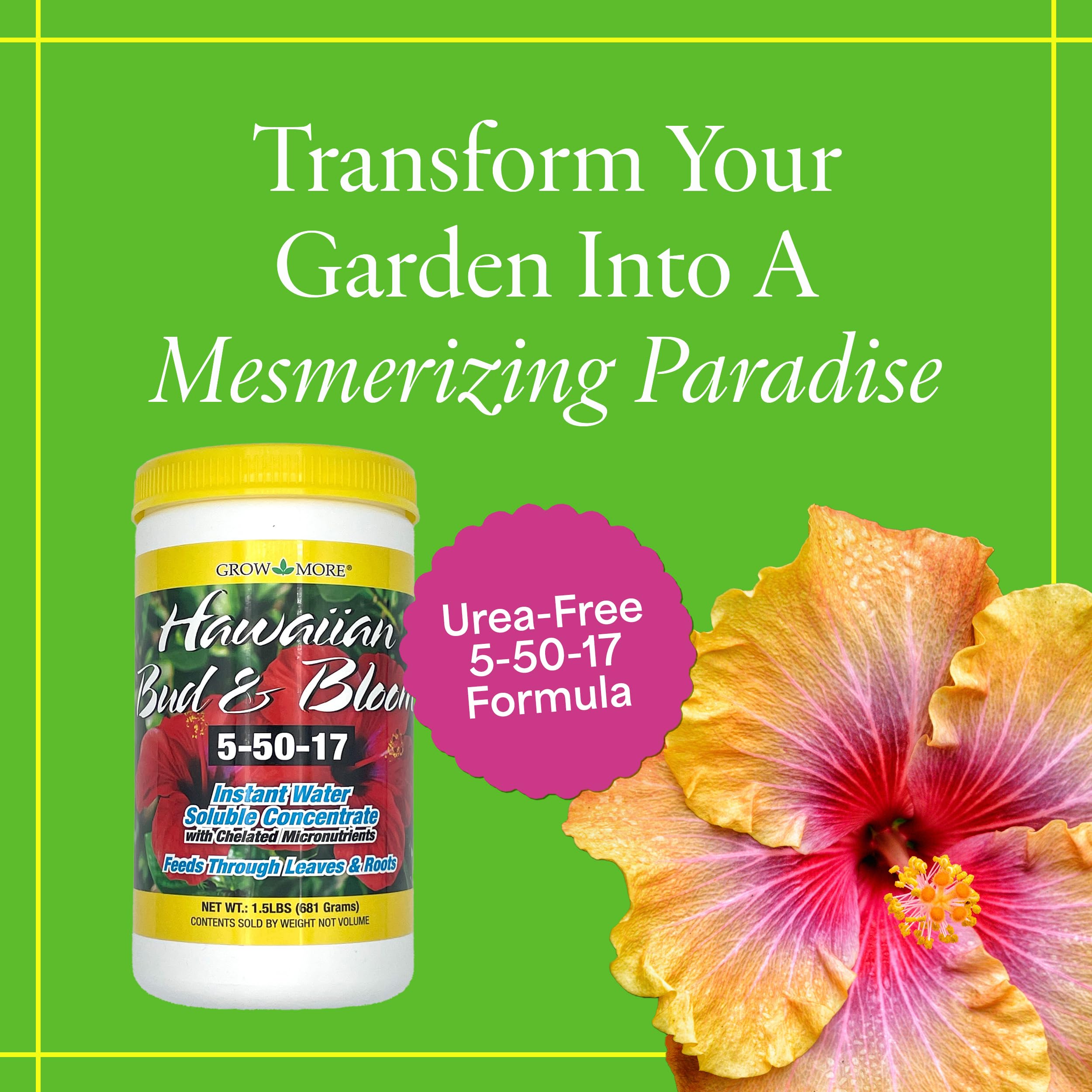 Grow More Hawaiian Bud and Bloom granules dissolve evenly for feeding
