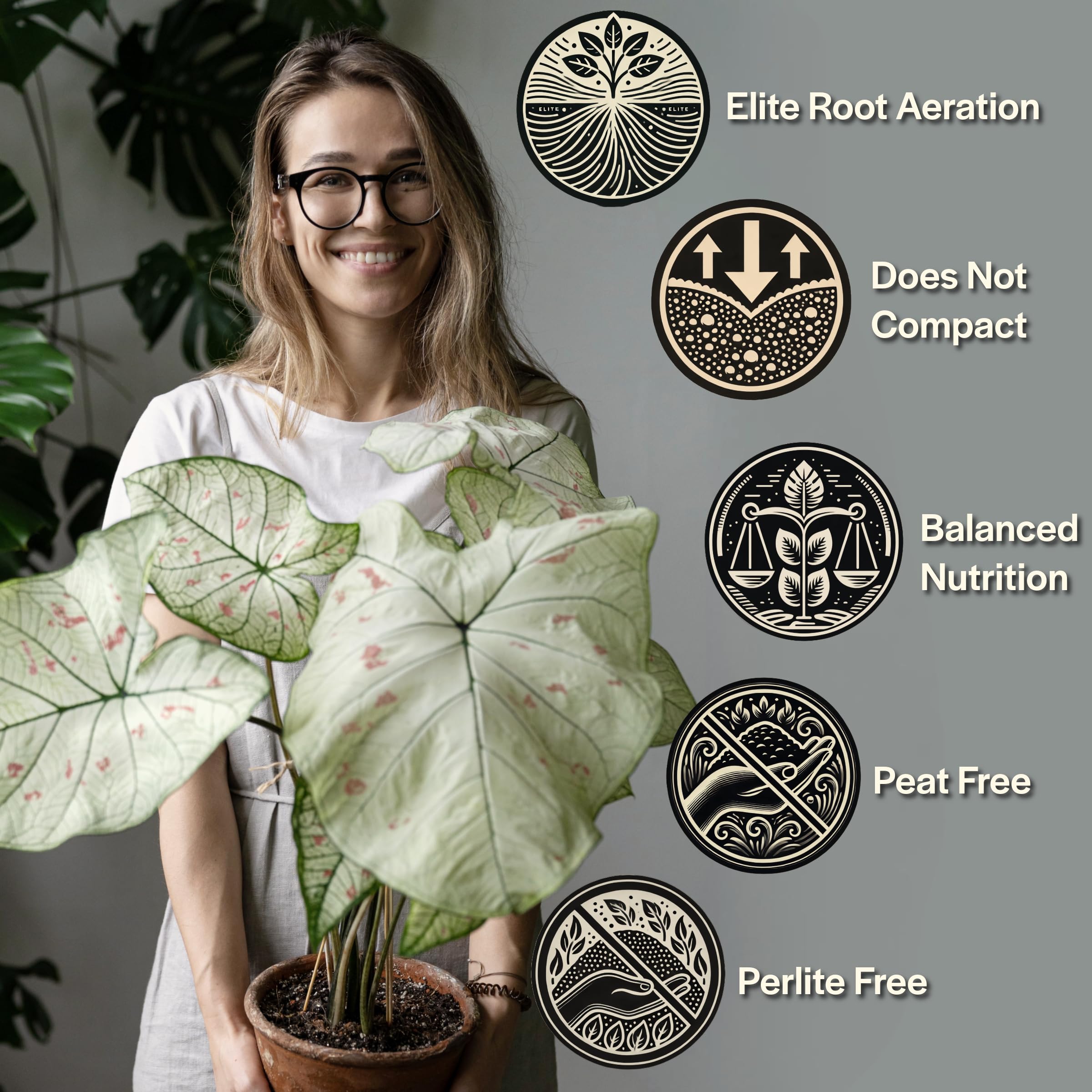 Grow Queen certified-organic coco coir provides a clean growing medium for tropical plants.