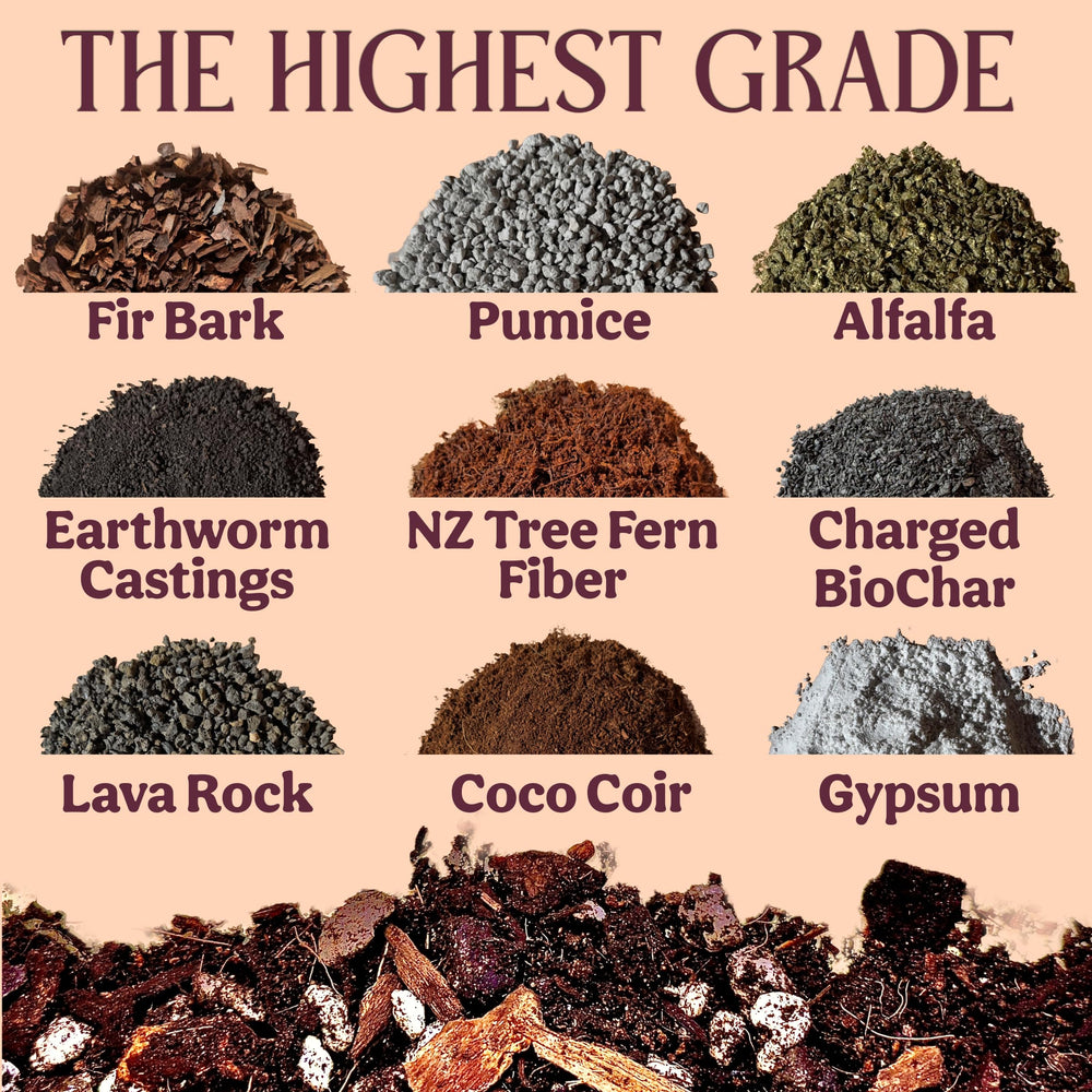 Close-up of Grow Queen Aroid mix textures for healthy root growth and moisture control.
