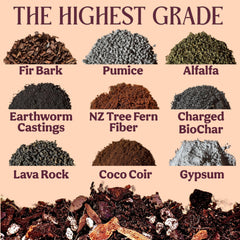 Close-up of Grow Queen Aroid mix textures for healthy root growth and moisture control.