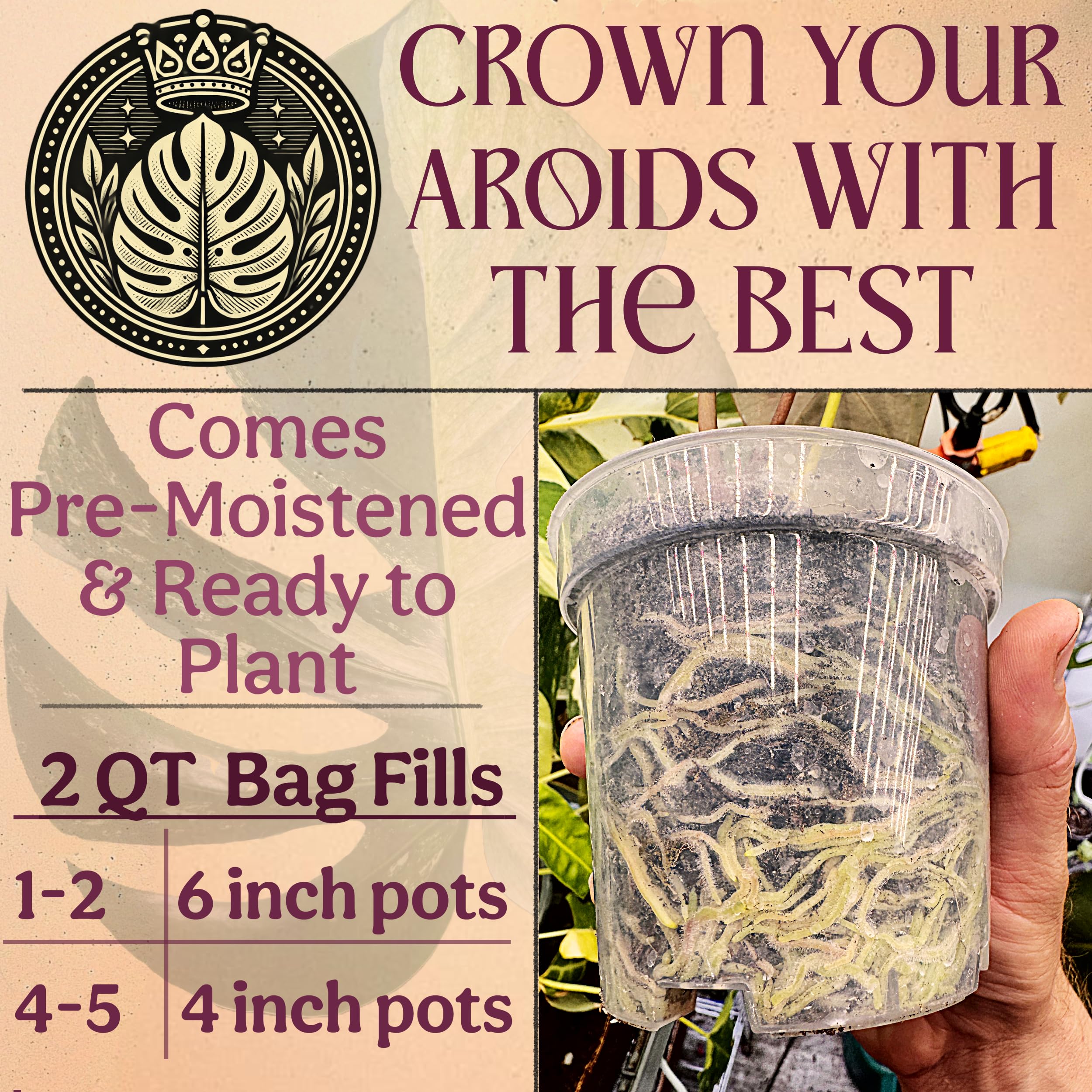 Grow Queen lava rock and pumice boost aeration and drainage in indoor pots.