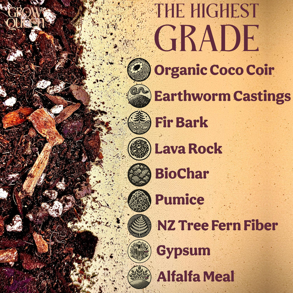 Grow Queen New Zealand Tree Fern Fiber acts as soil conditioner and helps neutralize pH.