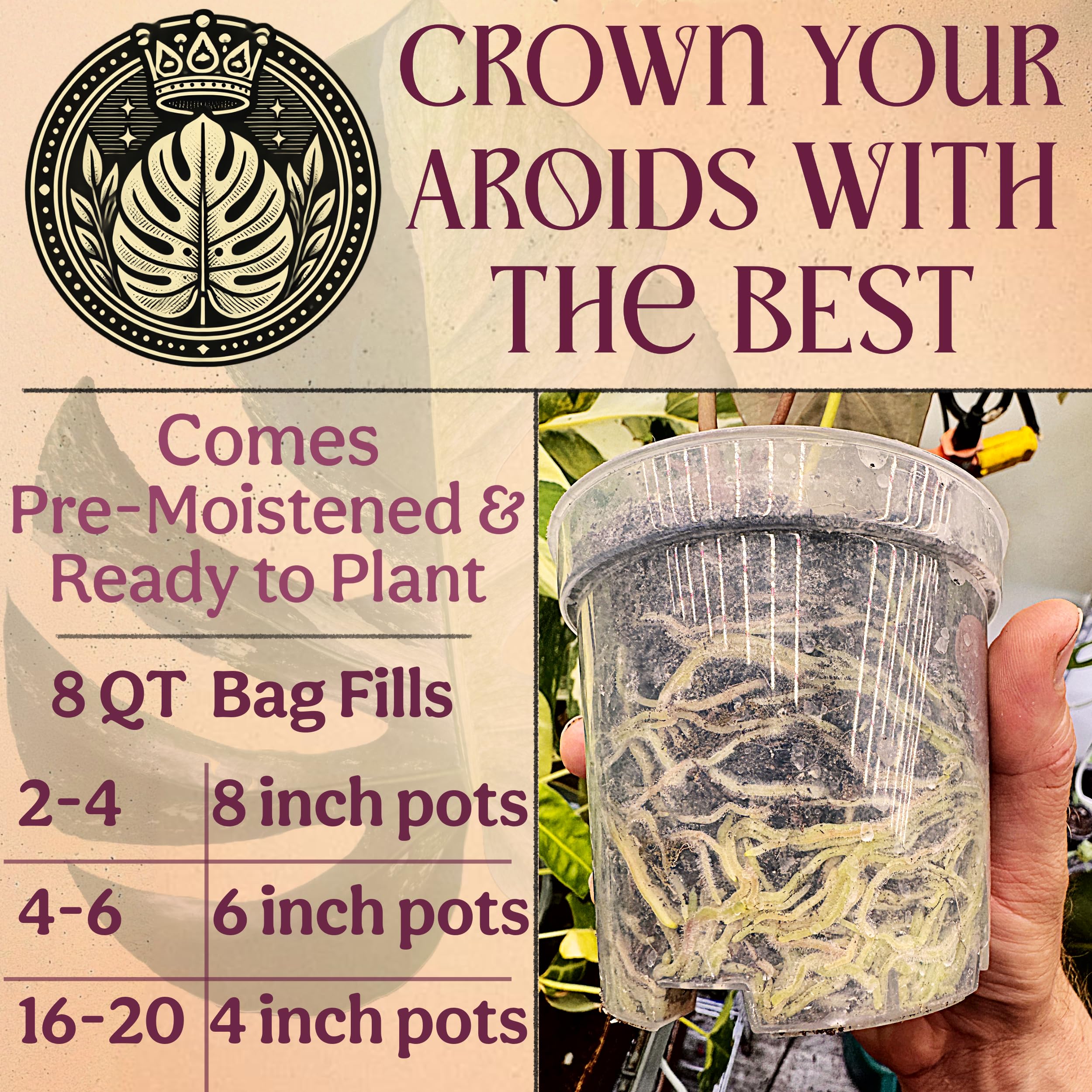 Grow Queen mix emphasizes drainage and aeration to support root health.