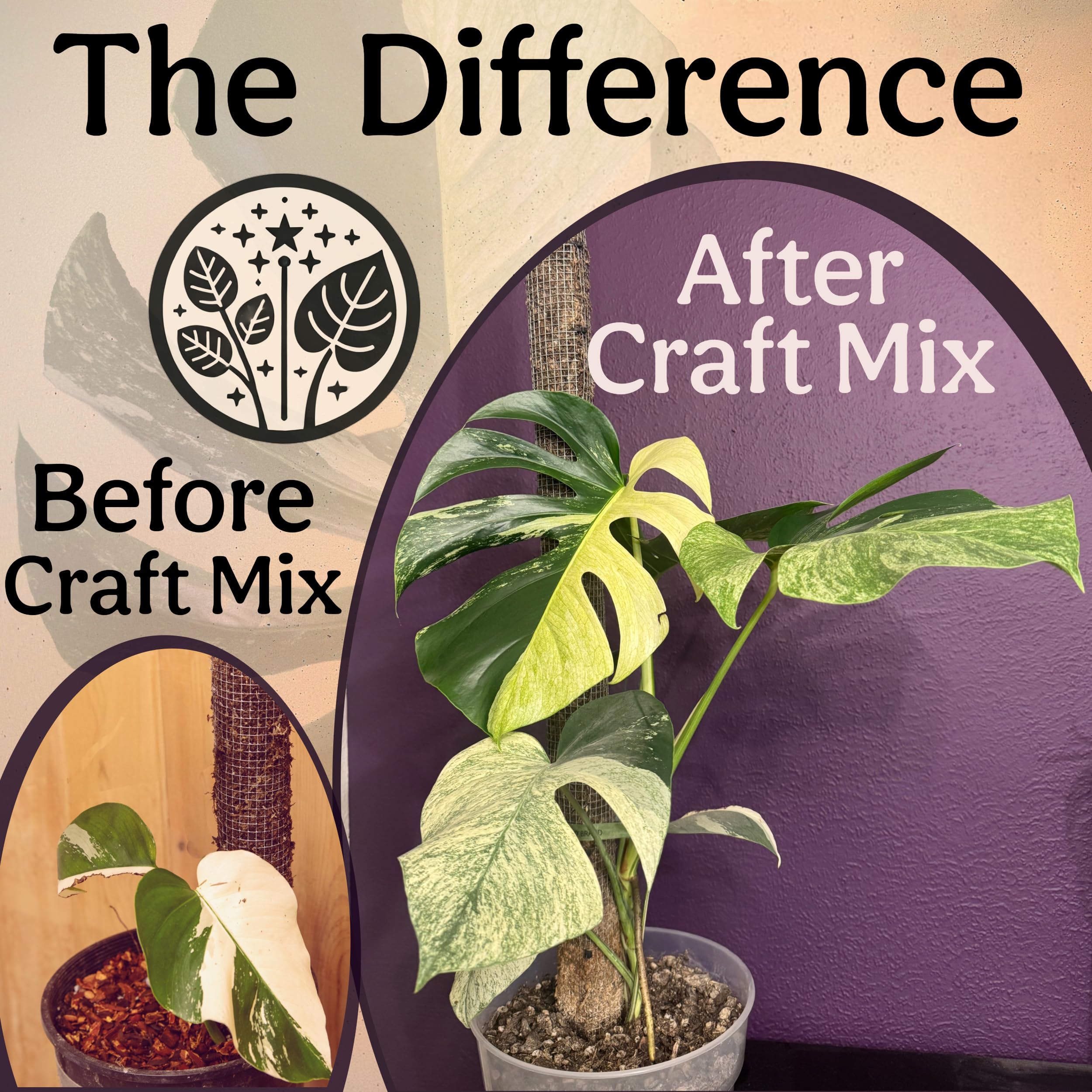 Grow Queen peat-free and perlite-free mix protects roots and reduces environmental impact.