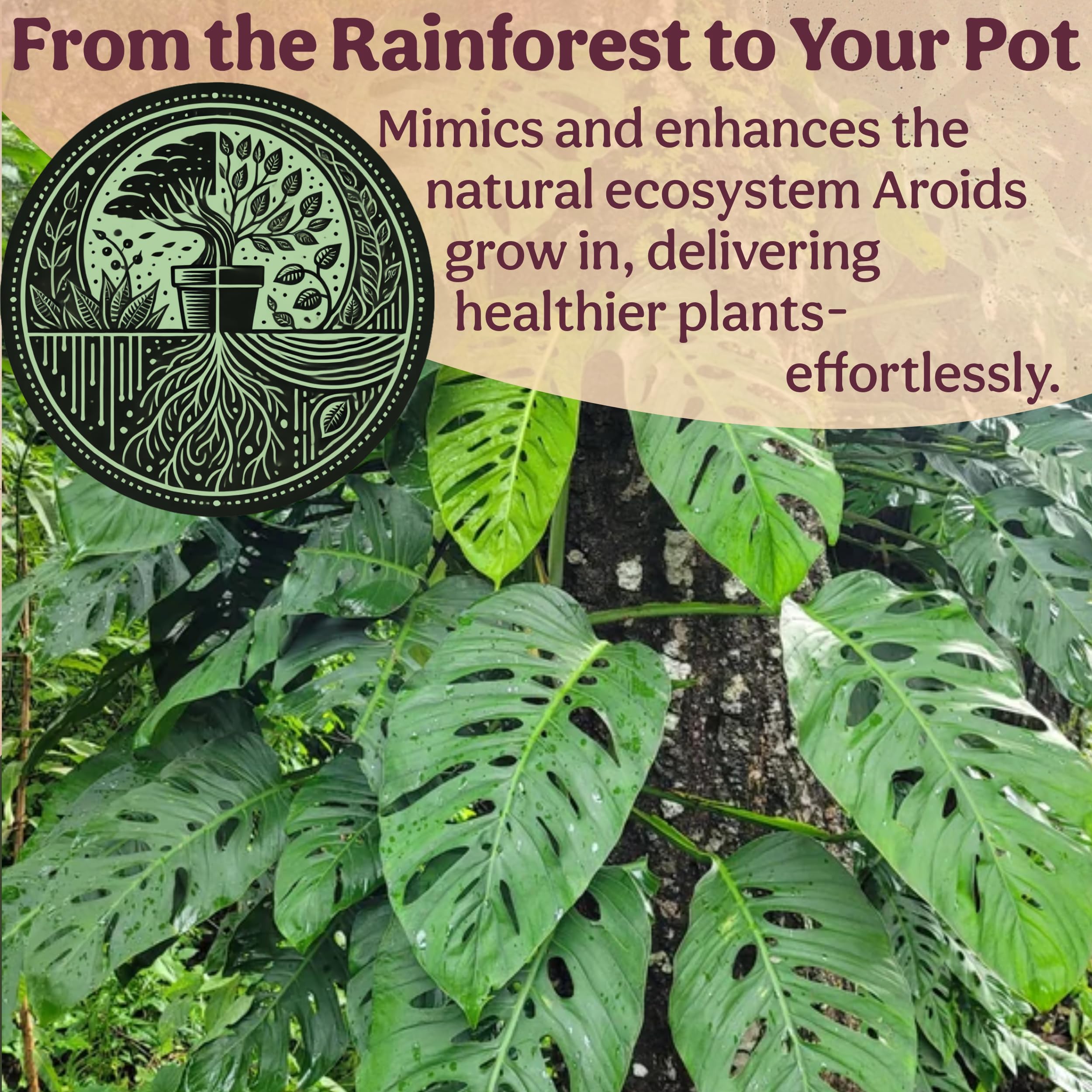 Grow Queen pet-friendly mix keeps homes safe while plants thrive indoors.