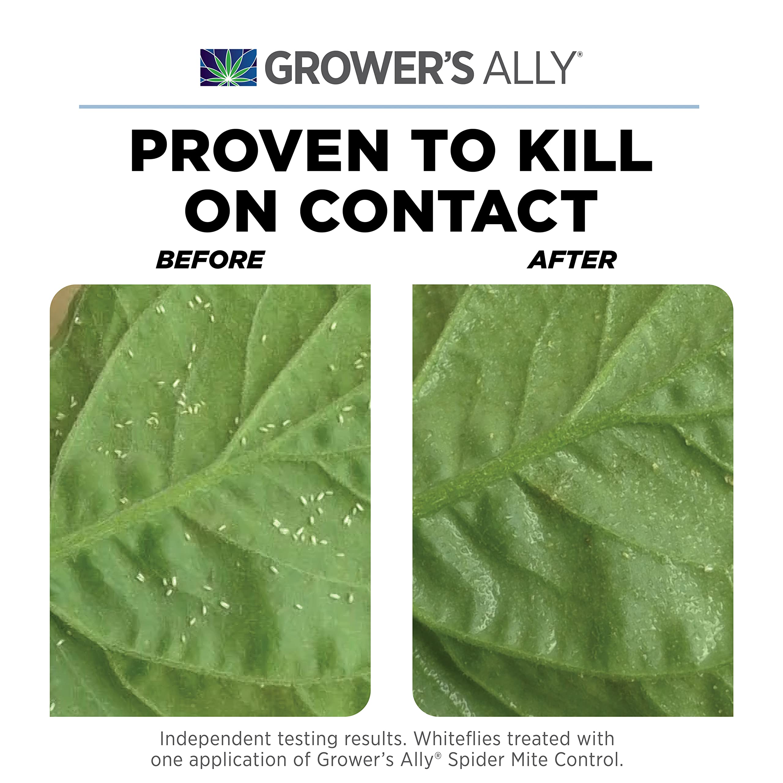 Grower's Ally Organic Spider Mite Control demonstrates plant-safe pest management outdoors.
