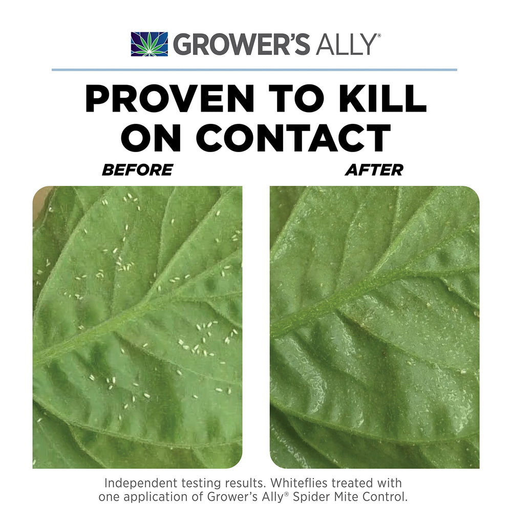 Grower's Ally Organic Spider Mite Control demonstrates plant-safe pest management outdoors.