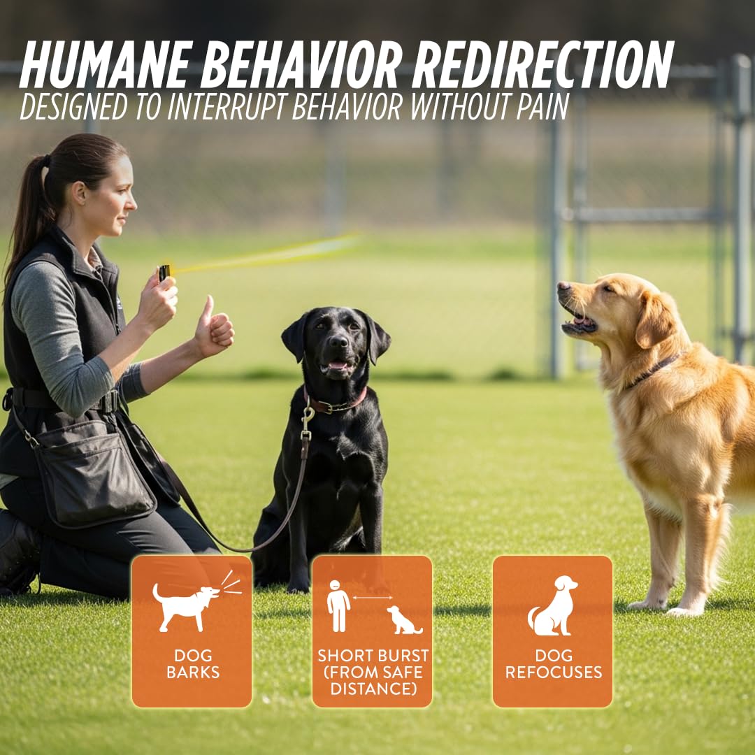 Guard Dog Security deterrent helps maintain safe distance during street encounters.