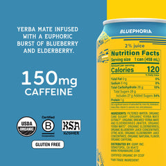 Guayaki Yerba Madre Bluephoria can with blueberry and elderberry for mood and focus.
