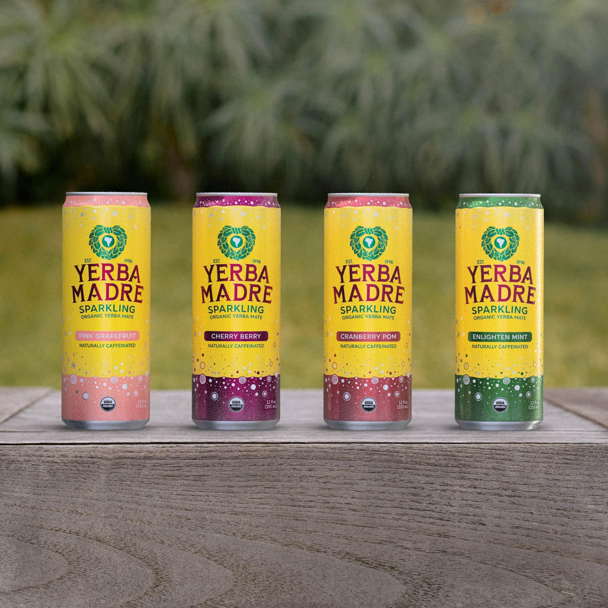 Guayaki Yerba Madre pack of 12 cans ready for gatherings.