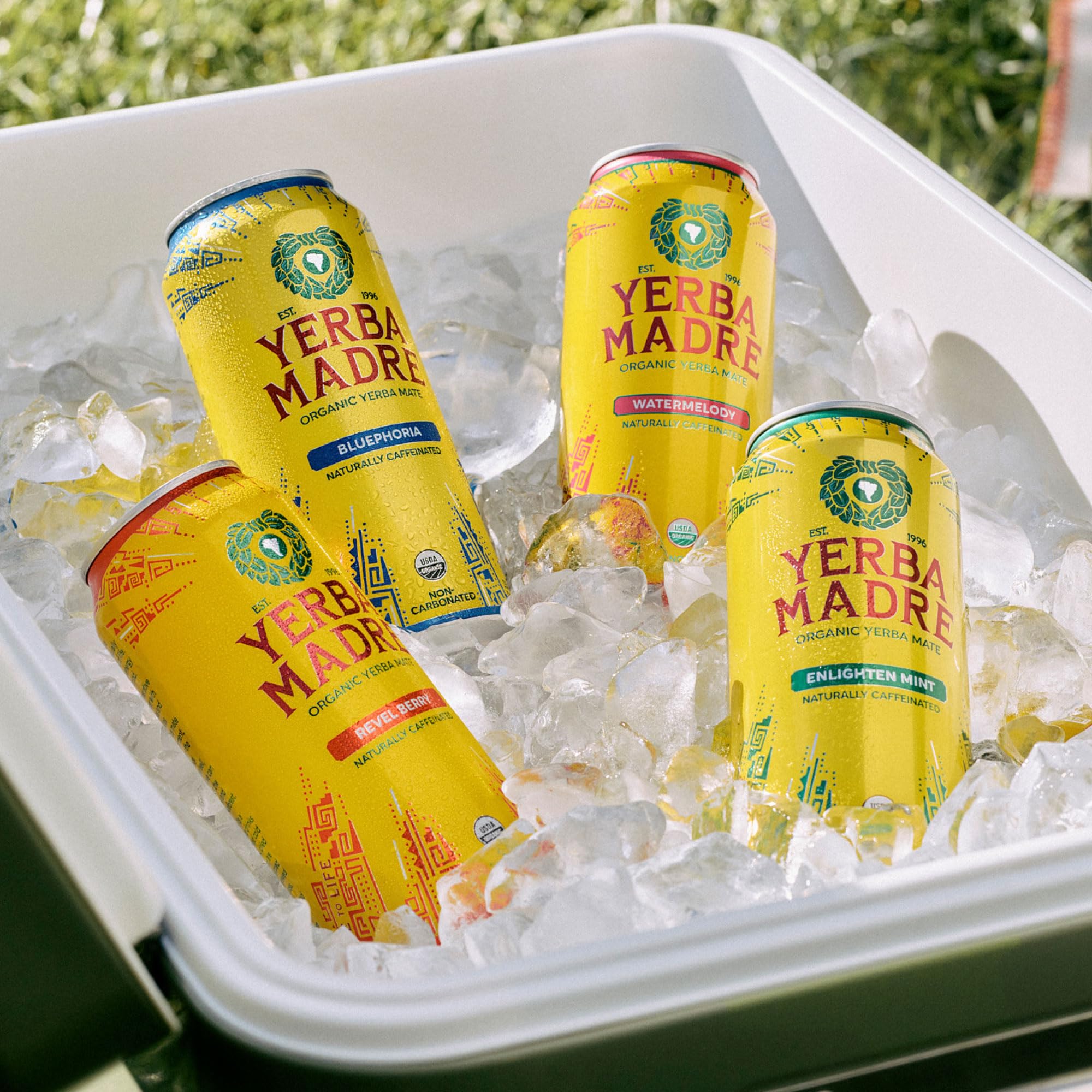 Guayaki Yerba Madre Revel Berry packaging emphasizes regenerative sourcing