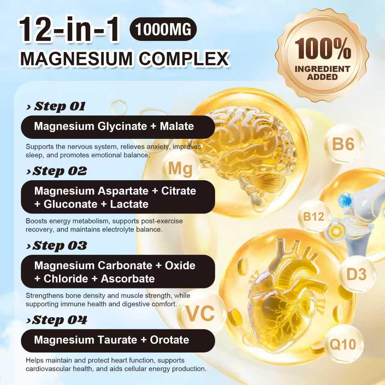 Gulapelst magnesium 12-forms infographic highlights diverse absorption opportunities.