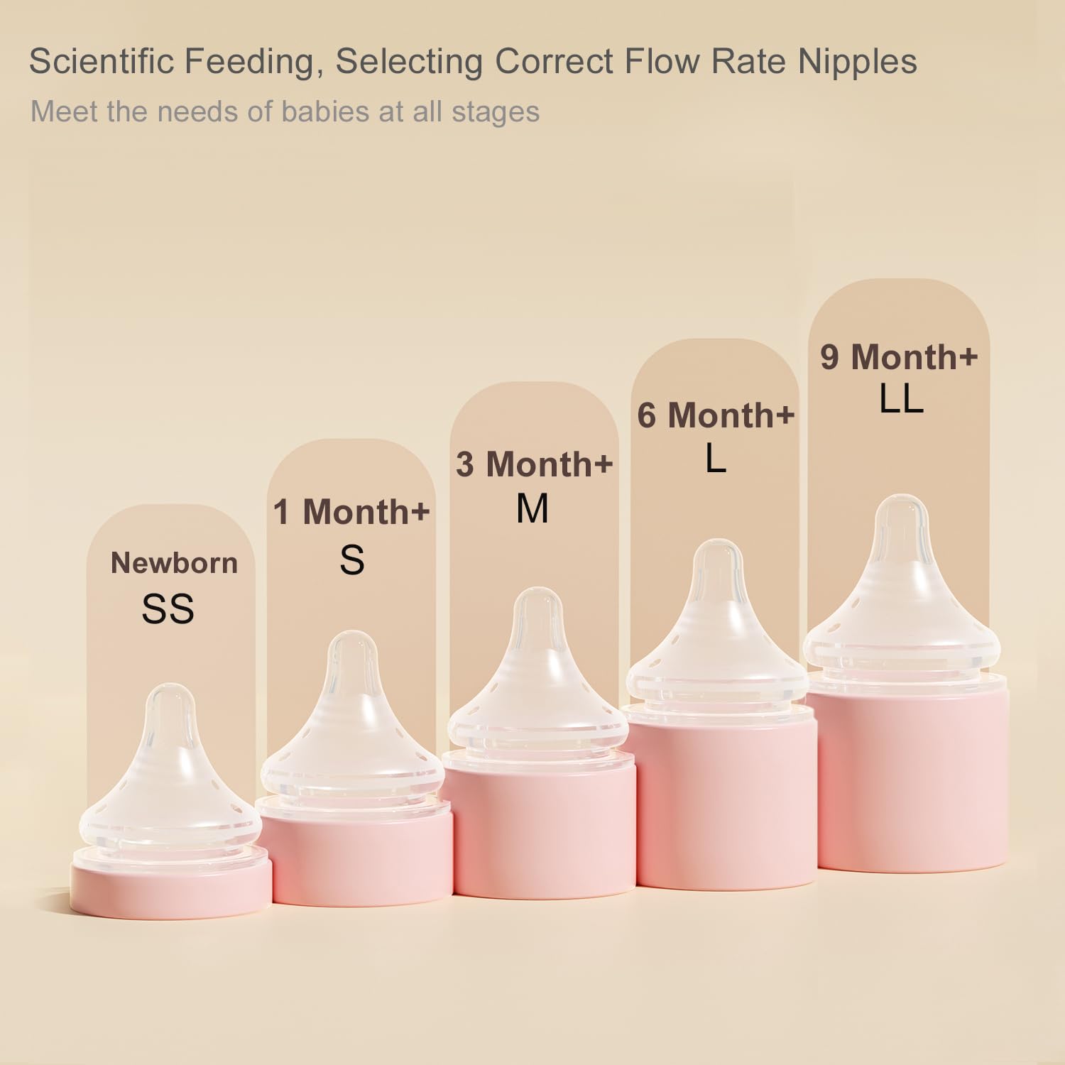 Gulicola 3-pack packaging shown for convenient feeding supply.