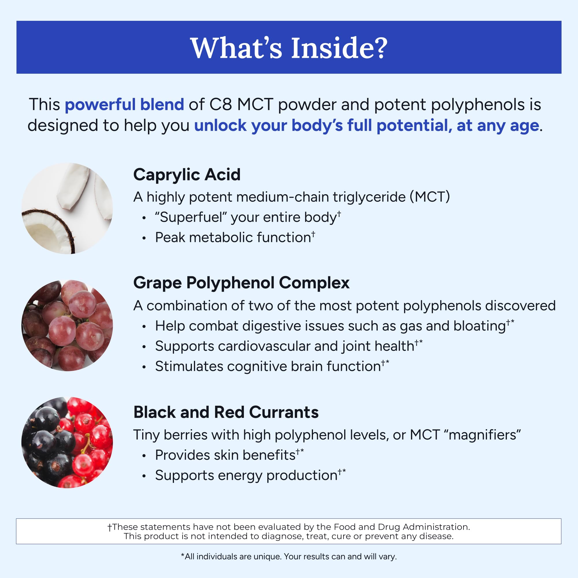 Gundry MD MCT Wellness Powder bottle label close-up highlighting keto-friendly and sugar-free.