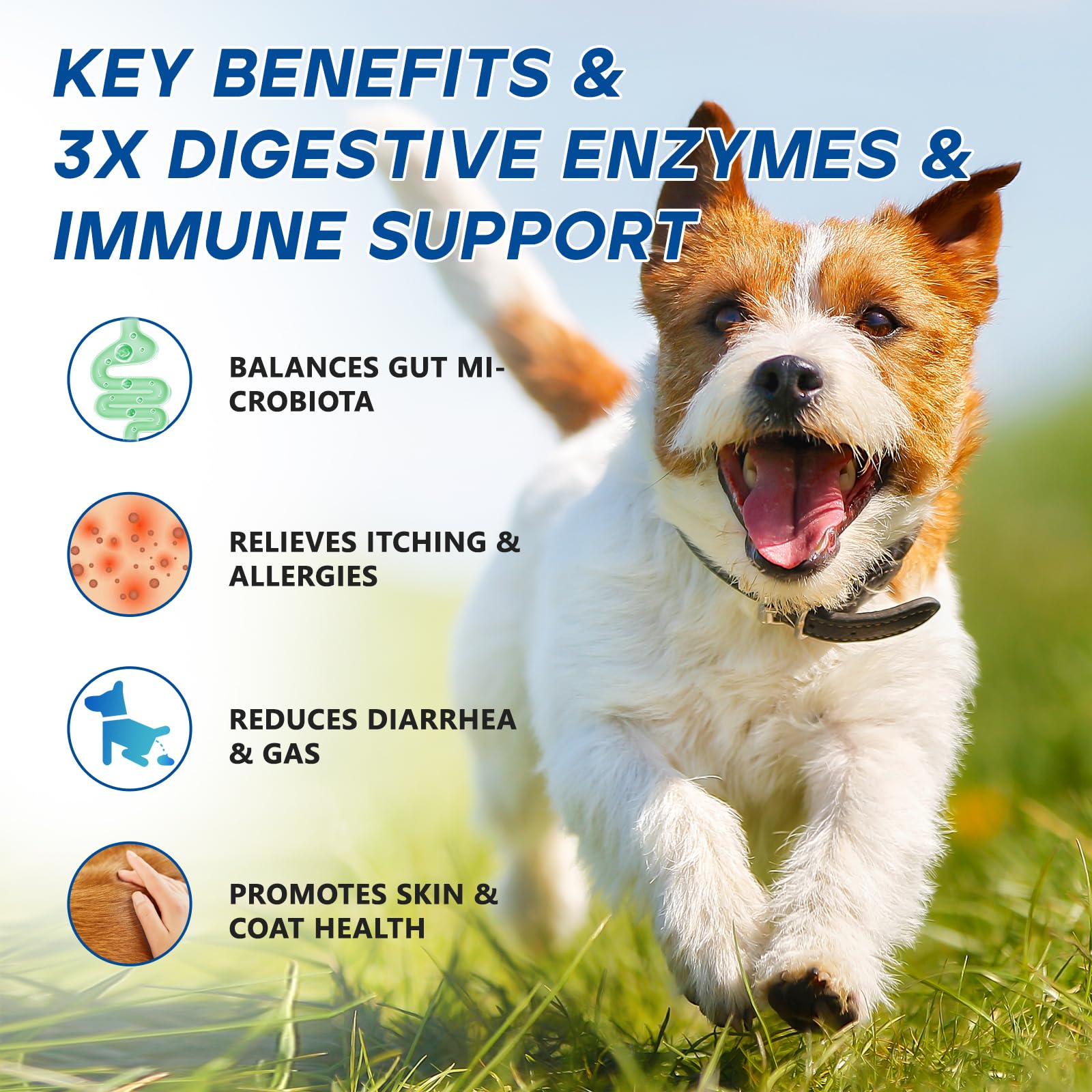GuruAmi dog probiotic chews ingredients pumpkin fiber support digestion and antioxidants
