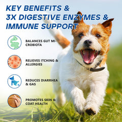 GuruAmi dog probiotic chews ingredients pumpkin fiber support digestion and antioxidants