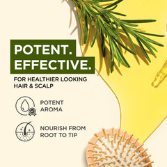 Gya Labs Rosemary essential oil in diffuser releasing calming aroma.