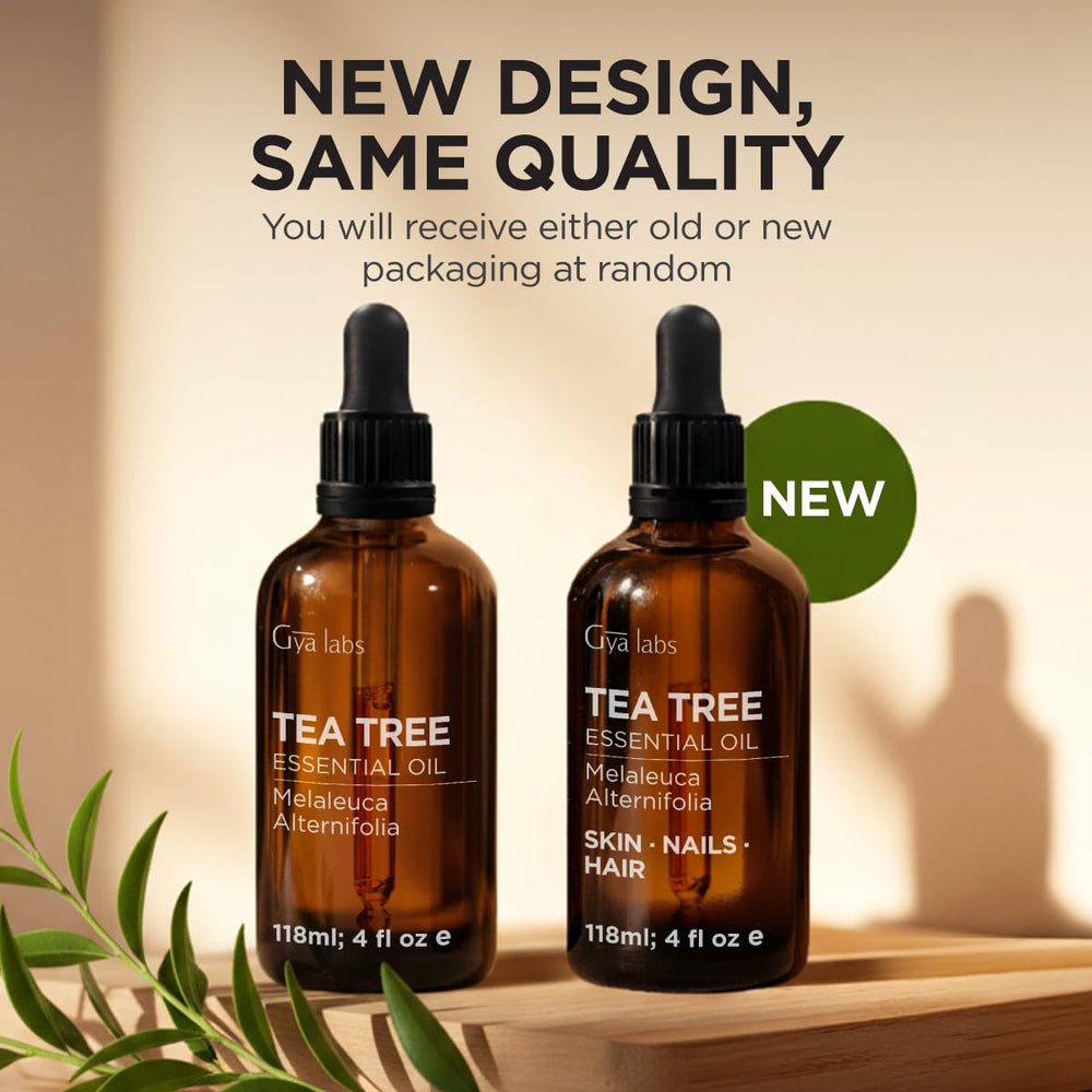 Gya Labs Tea Tree Oil herbaceous aroma with cooling after-effect in room
