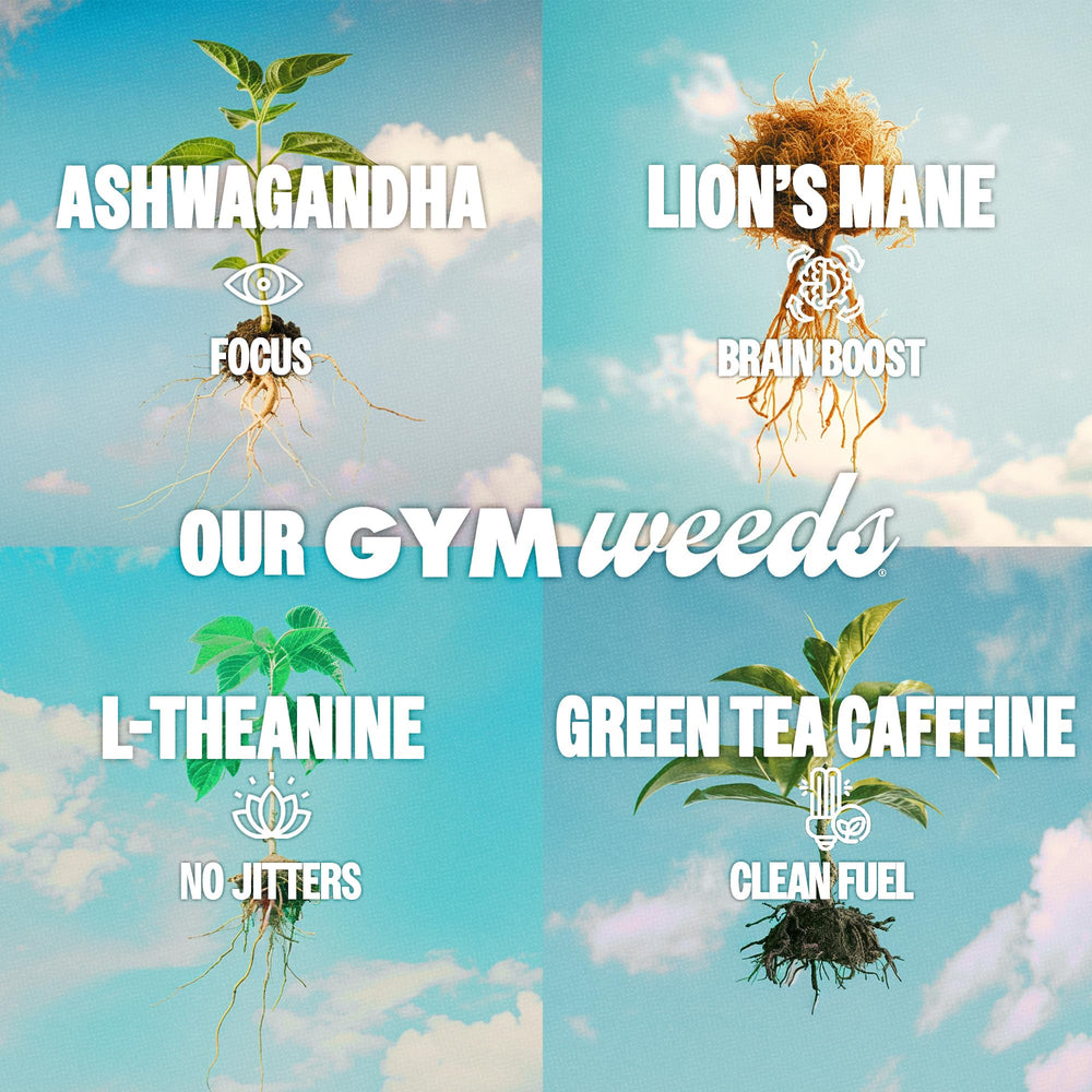 GYM WEED athlete setup ready-to-use before training sessions
