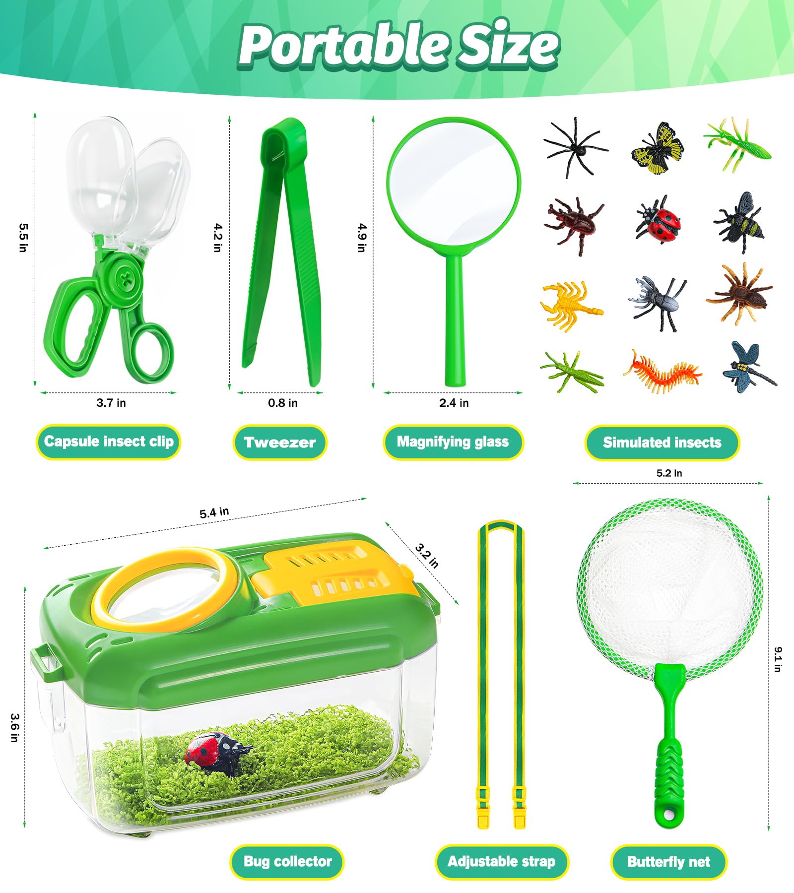 HAIMST hand magnifying glass for detailed bug study on the go