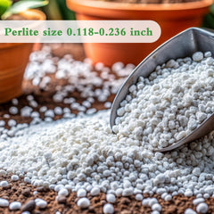 HAINANSTRY Organic Perlite close-up reveals porous texture for airy soil