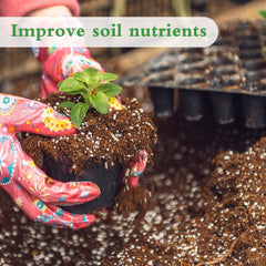 HAINANSTRY Perlite in potting mix boosts drainage and root space