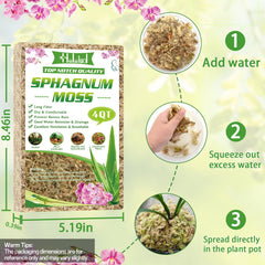 Halatool 4qt orchid moss application demonstrates easy lining and moisture control.