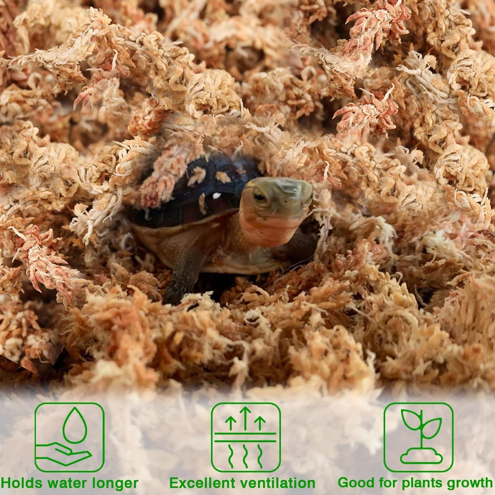 Halatool carnivorous plant moss promotes hydration without compaction.